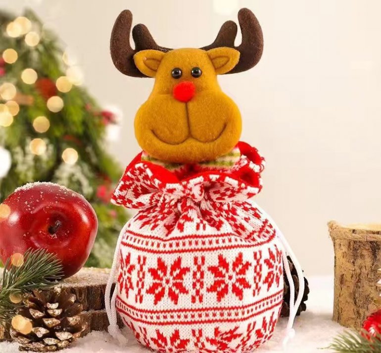 Apple Tote With Christmas Decorations