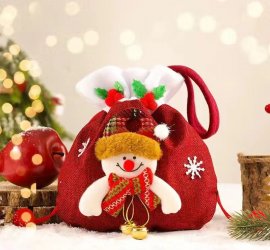 Apple Tote With Christmas Decorations