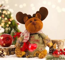 Apple Tote With Christmas Decorations