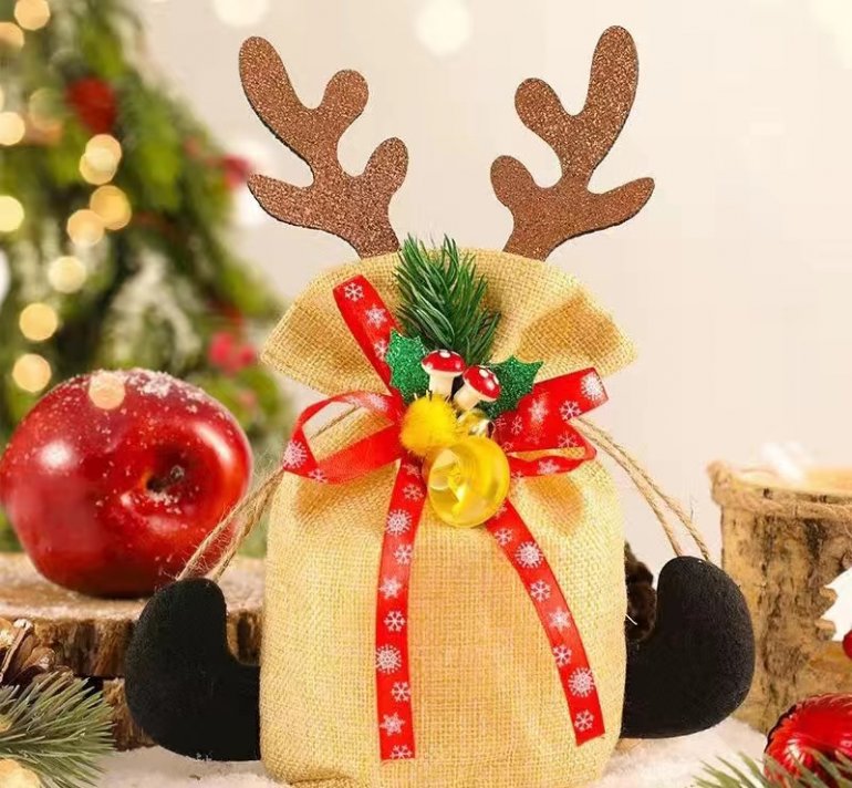 Apple Tote With Christmas Decorations