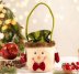 Apple Tote With Christmas Decorations